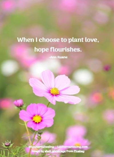 When I choose to plant love, hope flourishes. -Ann Ruane