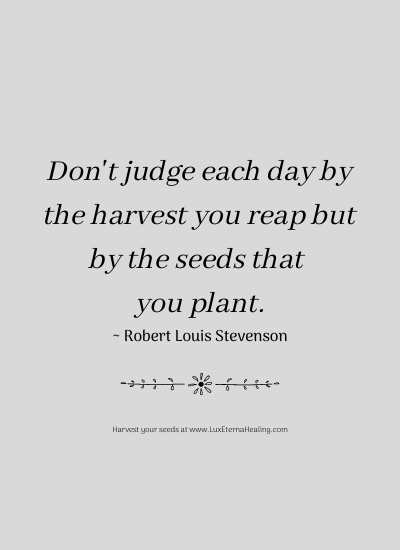 Don't judge each day by the harvest you reap but by the seeds that you plant. ~ Robert Louis Stevenson