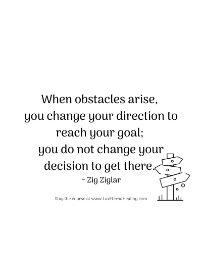 When obstacles arise, you change your direction to reach your goal; you do not change your decision to get there. ~ Zig Ziglar