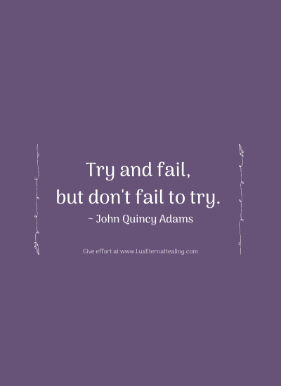 Try and fail, but don't fail to try. ~ John Quincy Adams