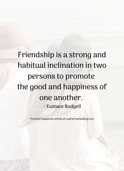 Friendship is a strong and habitual inclination in two persons to promote the good and happiness of one another. ~ Eustace Budgell