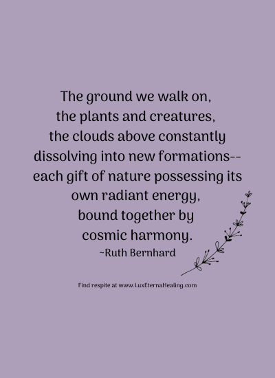 The ground we walk on, the plants and creatures, the clouds above constantly dissolving into new formations--each gift of nature possessing its own radiant energy, bound together by cosmic harmony. ~Ruth Bernhard