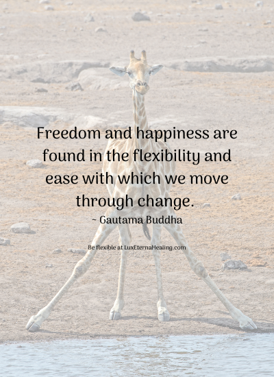 Freedom and happiness are found in the flexibility and ease with which we move through change. ~ Gautama Buddha