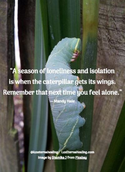 “A season of loneliness and isolation is when the caterpillar gets its wings. Remember that next time you feel alone.” ― Mandy Hale
