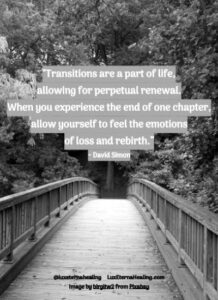 "Transitions are a part of life, allowing for perpetual renewal. When you experience the end of one chapter, allow yourself to feel the emotions of loss and rebirth.” ~ David Simon