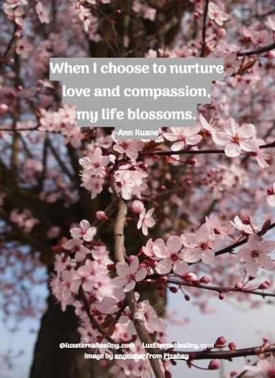 When I choose to nurture love and compassion, my life blossoms. -Ann Ruane