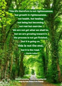 “This life therefore is not righteousness, but growth in righteousness, not health, but healing, not being but becoming, not rest but exercise. We are not yet what we shall be, but we are growing toward it, the process is not yet finished, but it is going on, this is not the end, but it is the road.” ― Martin Luther