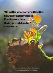 "No matter what sort of difficulties, how painful experience is, if we lose our hope, that's our real disaster.” ― Dalai Lama XIV