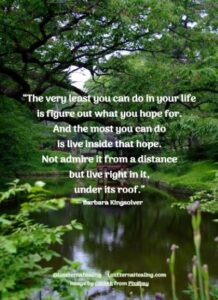 “The very least you can do in your life is figure out what you hope for. And the most you can do is live inside that hope. Not admire it from a distance but live right in it, under its roof.” ― Barbara Kingsolver