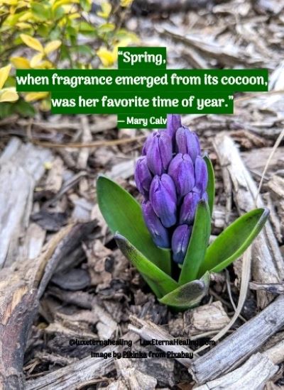 “Spring, when fragrance emerged from its cocoon, was her favorite time of year.” ― Mary Calv