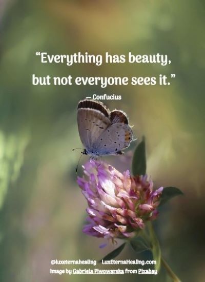“Everything has beauty, but not everyone sees it.” ― Confucius