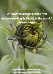 “A flower must bloom inside first before revealing its beauty to the world.” ― Matshona Dhliwayo