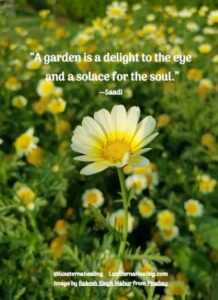 “A garden is a delight to the eye and a solace for the soul.” --Saadi