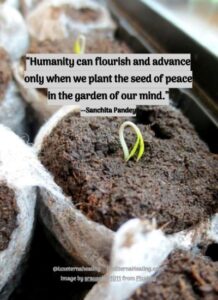 “Humanity can flourish and advance only when we plant the seed of peace in the garden of our mind.” --Sanchita Pandey