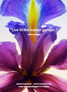 “Live in the indoor garden.” --Steven Magee