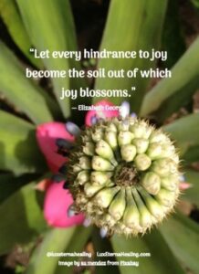 “Let every hindrance to joy become the soil out of which joy blossoms.” ― Elizabeth George