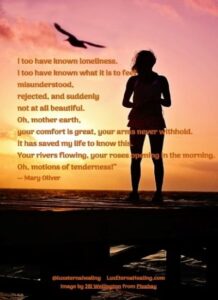 I too have known loneliness. I too have known what it is to feel misunderstood, rejected, and suddenly not at all beautiful. Oh, mother earth, your comfort is great, your arms never withhold. It has saved my life to know this. Your rivers flowing, your roses opening in the morning. Oh, motions of tenderness!” ― Mary Oliver