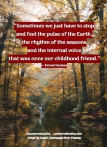 “Sometimes we just have to stop and feel the pulse of the Earth, the rhythm of the seasons and the internal voice that was once our childhood friend.” ― Fennel Hudson