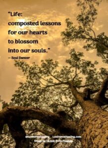 “Life: composted lessons for our hearts to blossom into our souls.” ― Soul Dancer