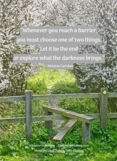 “Whenever you reach a barrier, you must choose one of two things. Let it be the end or explore what the darkness brings.” --Monica Carolan