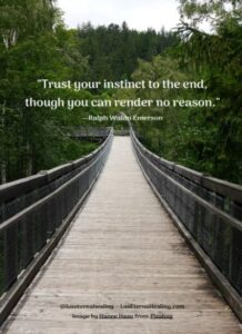 "Trust your instinct to the end, though you can render no reason." --Ralph Waldo Emerson