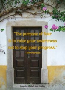 “The purpose of fear is to raise your awareness not to stop your progress.” --Steve Maraboli