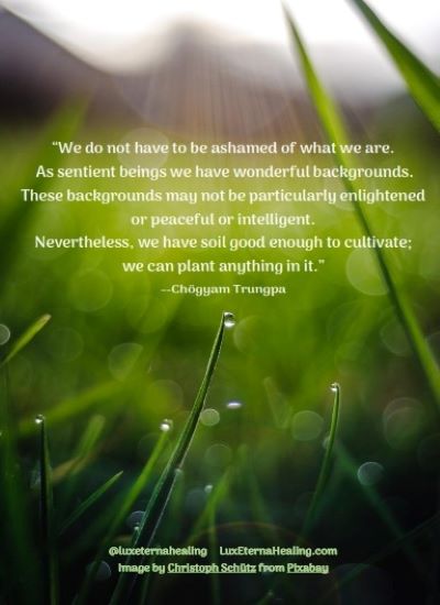 “We do not have to be ashamed of what we are. As sentient beings we have wonderful backgrounds. These backgrounds may not be particularly enlightened or peaceful or intelligent. Nevertheless, we have soil good enough to cultivate; we can plant anything in it.” --Chögyam Trungpa