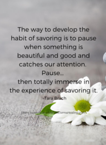 The way to develop the habit of savoring is to pause when something is beautiful and good and catches our attention. Pause... then totally immerse in the experience of savoring it. ~ Tara Brach
