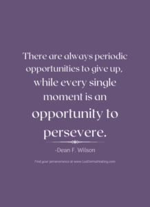 There are always periodic opportunities to give up, while every single moment is an opportunity to persevere. -Dean F. Wilson