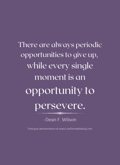 There are always periodic opportunities to give up, while every single moment is an opportunity to persevere. -Dean F. Wilson