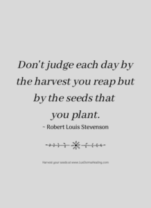 Don't judge each day by the harvest you reap but by the seeds that you plant. ~ Robert Louis Stevenson