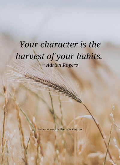 Your character is the harvest of your habits. ~ Adrian Rogers