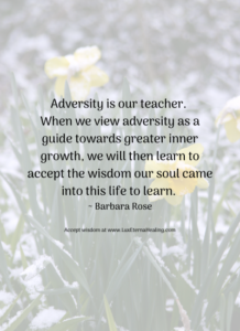 Adversity is our teacher. When we view adversity as a guide towards greater inner growth, we will then learn to accept the wisdom our soul came into this life to learn. ~ Barbara Rose