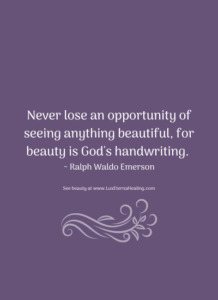 Never lose an opportunity of seeing anything beautiful, for beauty is God's handwriting. ~ Ralph Waldo Emerson