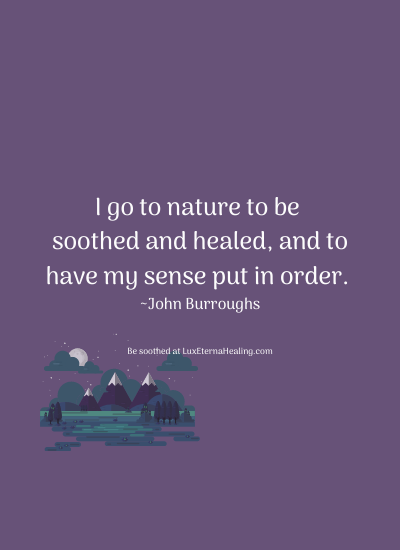 I go to nature to be soothed and healed, and to have my senses put in order. ~John Burroughs