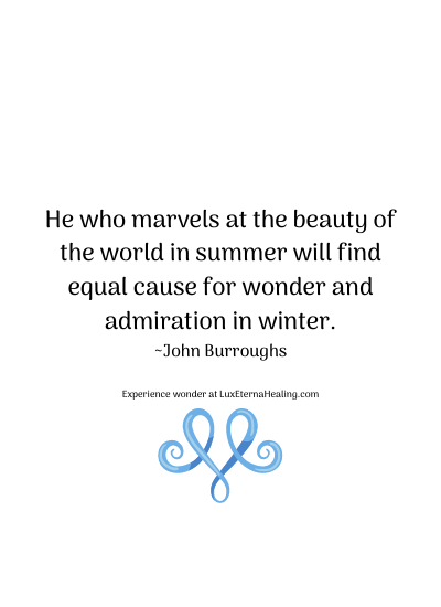 He who marvels at the beauty of the world in summer will find equal cause for wonder and admiration in winter. ~John Burroughs