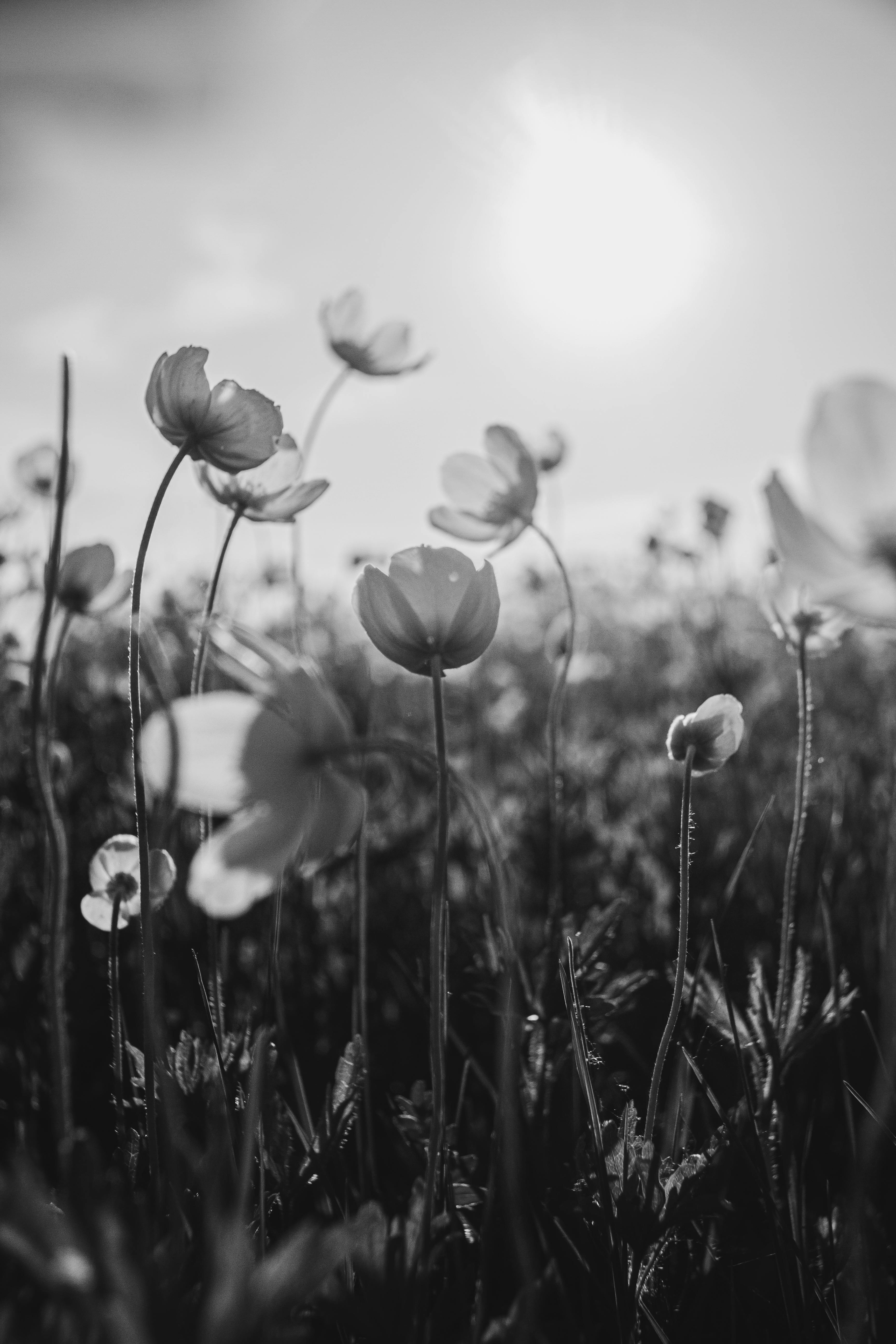 Why the Stigma