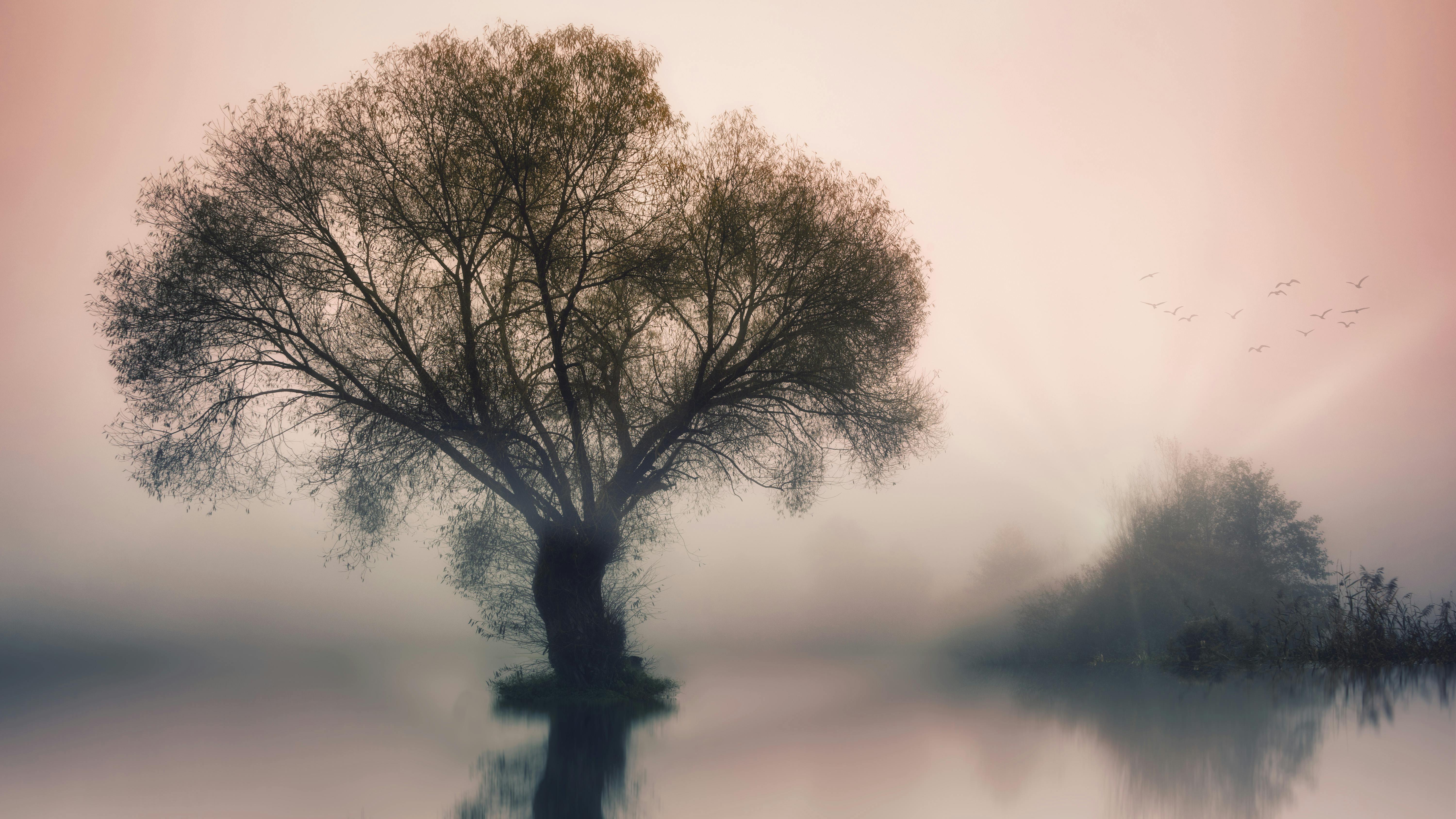 Why the Stigma