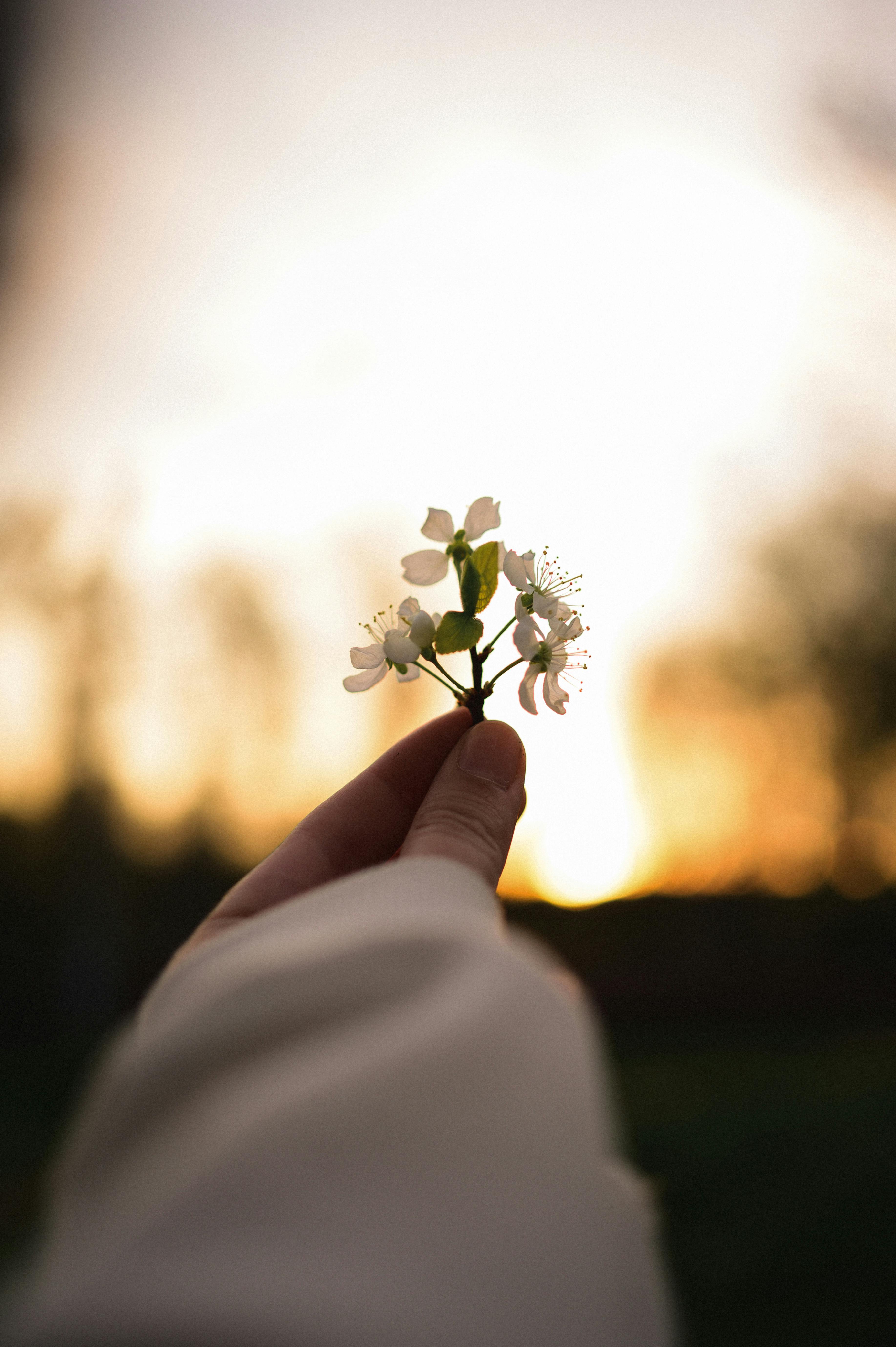 Why the Stigma
